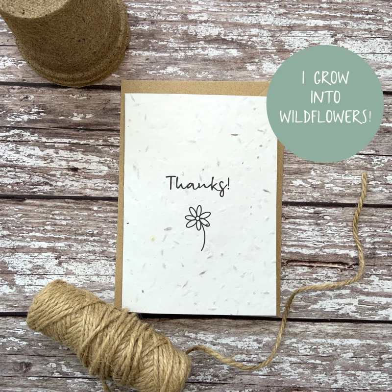 Eco Plantable Seed Cards - Grow Your Own Plants