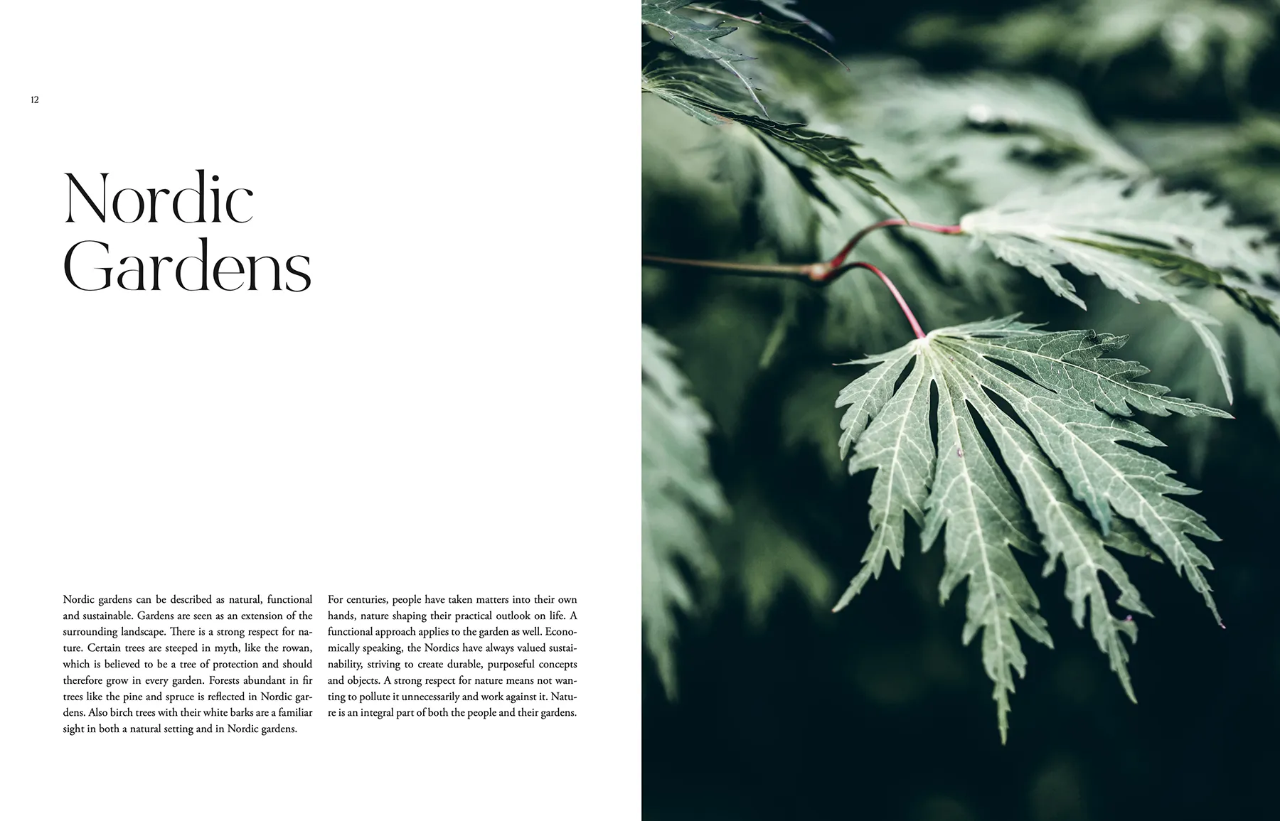Nordic Garden Design - Image 2