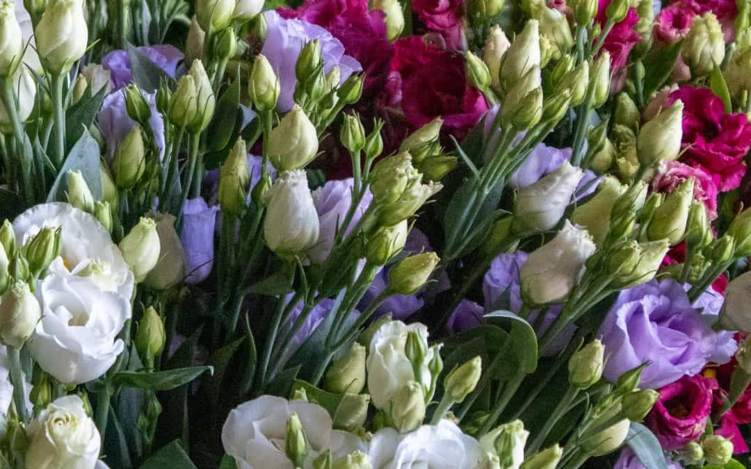 Seasonal Flowers in Aberdeen: What’s Available and When