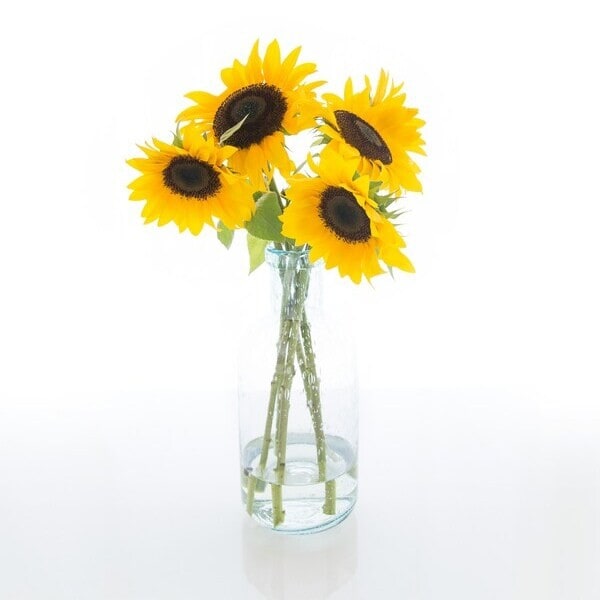SunflowerWeFoundLoveFloristimage