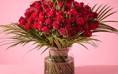 Magnificent 100 red roses