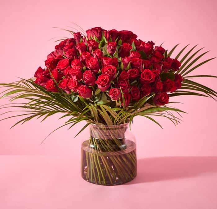 Magnificent 100 red roses