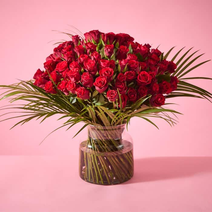 100 Red Roses