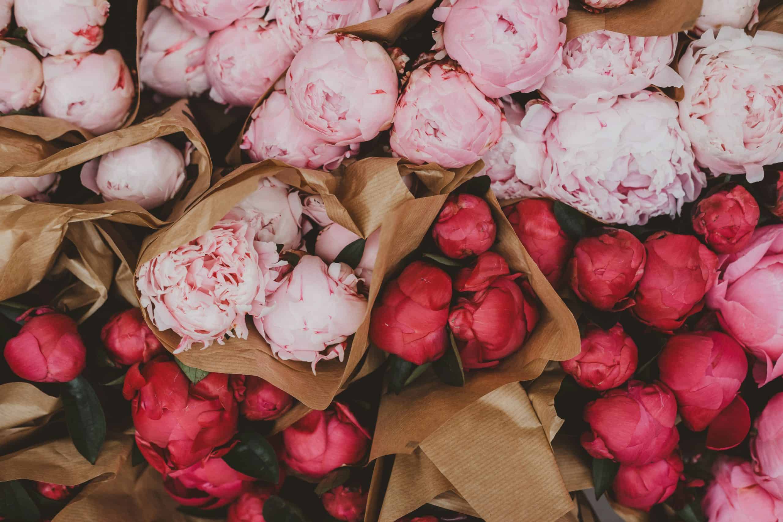 ellie ellien U553jpgOdjE unsplash scaled